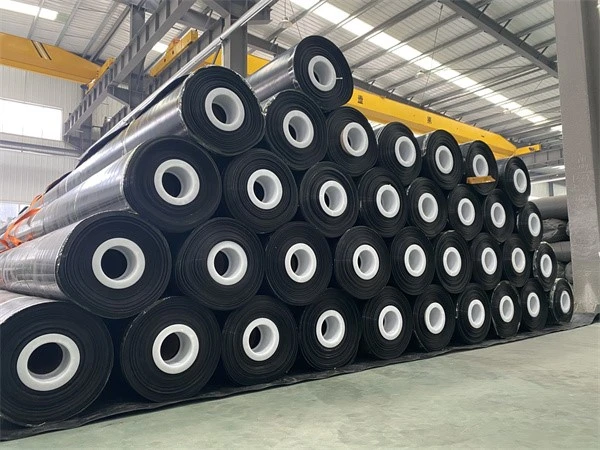 HDPE Smooth Geomembrane 6 HDPE Smooth Geomembrane 6
